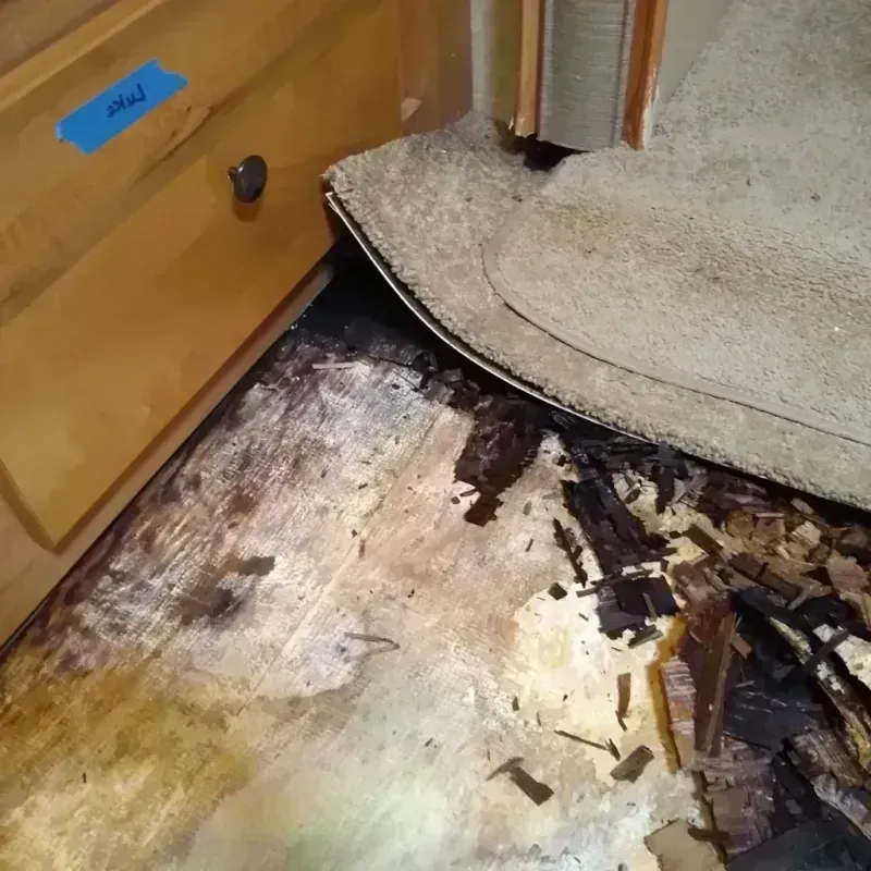 Wood Floor Water Damage in Charlestown, MD